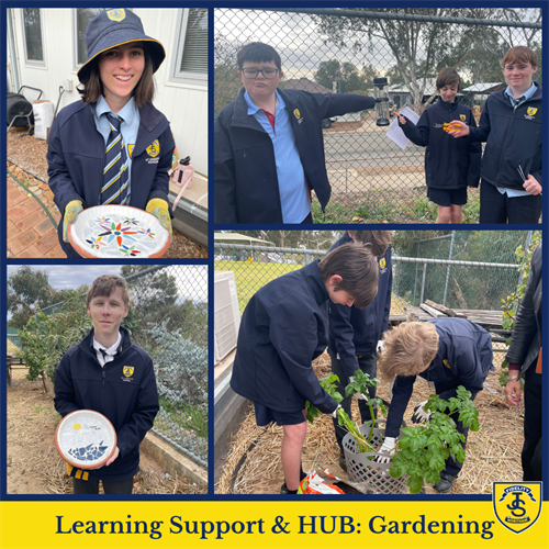 Learning Support & HUB Newsletter T3 W3 (3)