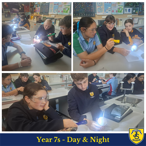Science in Focus T3 W5 Newsletter (1)