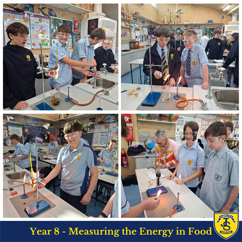 Science in Focus T3 W5 Newsletter (2)