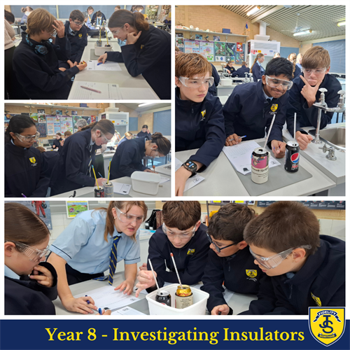 Science in Focus T3 W5 Newsletter (3)