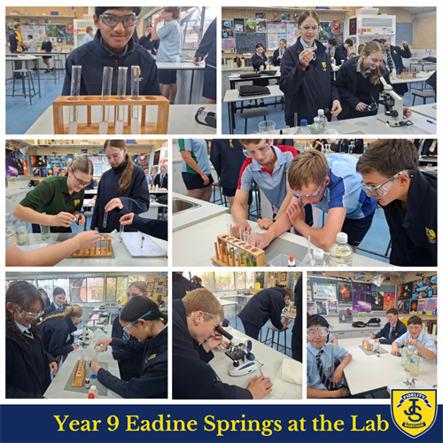 Science in Focus T3 W5 Newsletter (5)