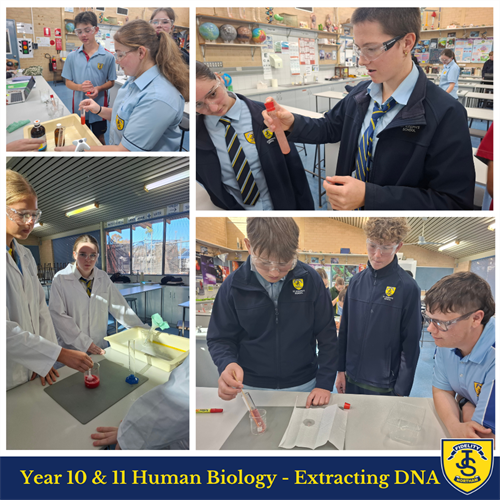 Science in Focus T3 W5 Newsletter (6) Science in Focus T3 W5 Newsletter (6)