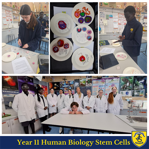 Science in Focus T3 W5 Newsletter (7) Science in Focus T3 W5 Newsletter (7)