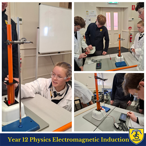 Science in Focus T3 W5 Newsletter (8) Science in Focus T3 W5 Newsletter (8)