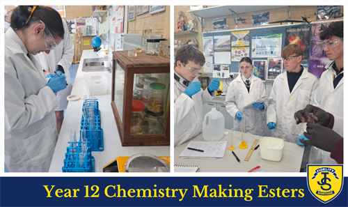 Science in Focus T3 W5 Newsletter (9) Science in Focus T3 W5 Newsletter (9)