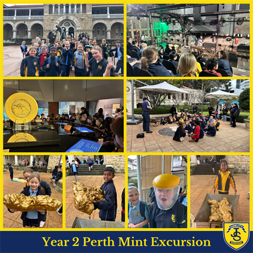 Year 2 Excursion Newsletter T3 W6