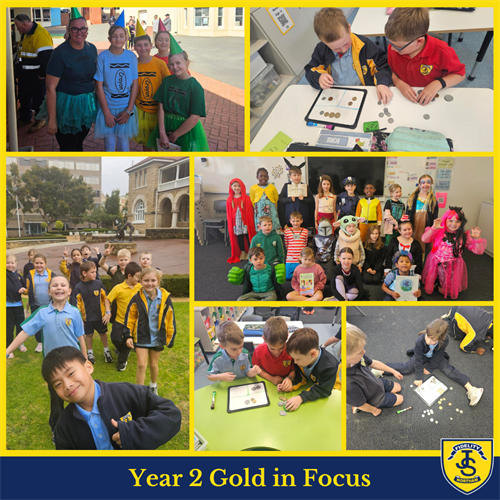 Year 2 Gold Newsletter T3 W6 (1)